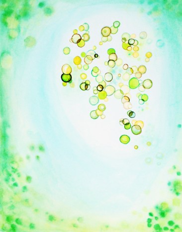 zooxanthellae Makeyev 2013